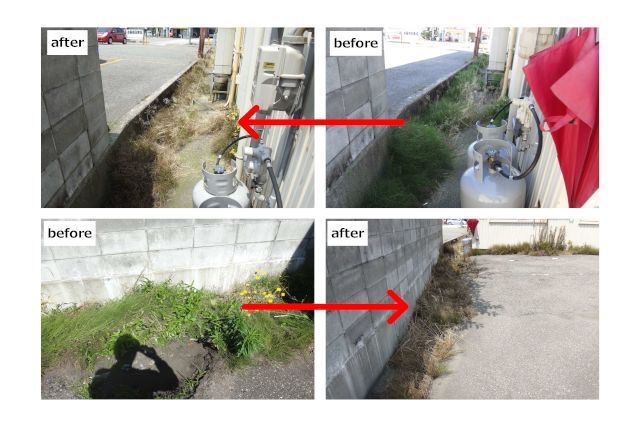 除草作業は、いつ頃から始めるのが最適か？