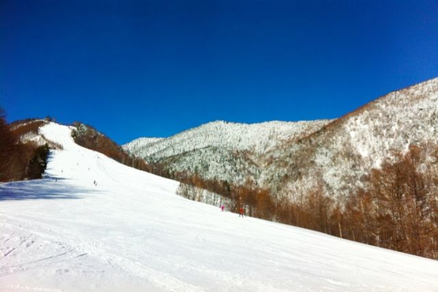 金沢は『雪が降らない街』へ・・・